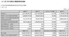 巨人网络2020年净利润10.29亿元 拟每10股派1.6元