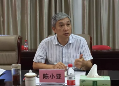 三亚市委原常委、政法委原书记陈小亚，被捕